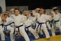 alexandriamou_karate_papadopoulos083