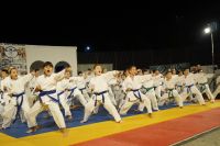 alexandriamou_karate_papadopoulos084