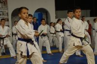 alexandriamou_karate_papadopoulos096