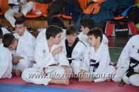 alexandriamou_tauvonto20170049