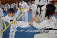 alexandriamou_tauvonto20170088