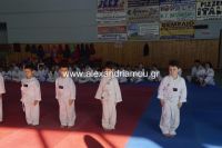 alexandriamou_karate01