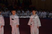 alexandriamou_karate02