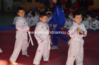 alexandriamou_karate04