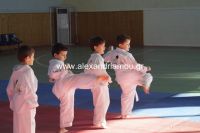 alexandriamou_karate11