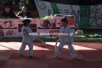 alexandriamou_karate30