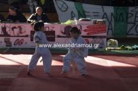 alexandriamou_karate31
