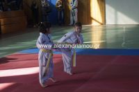 alexandriamou_karate37