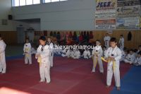 alexandriamou_karate39