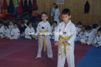 alexandriamou_karate40