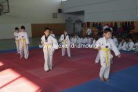 alexandriamou_karate41