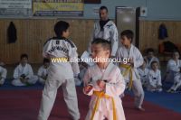 alexandriamou_karate50
