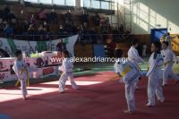 alexandriamou_karate55