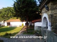 alexandriamou_1kastania0005