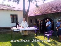 alexandriamou_1kastania0011