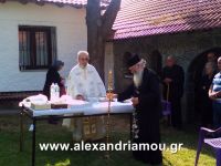 alexandriamou_1kastania0012