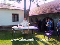 alexandriamou_1kastania0014