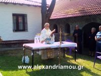 alexandriamou_1kastania0015