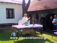 alexandriamou_1kastania0016