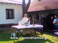 alexandriamou_1kastania0017