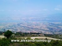 alexandriamou_1kastania0028