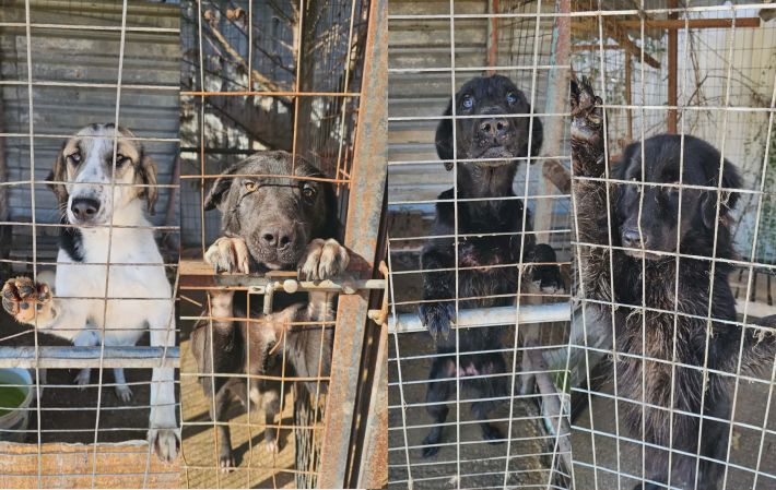 48dcaf84-1aaa-4964-8291-f63e928ddaf0