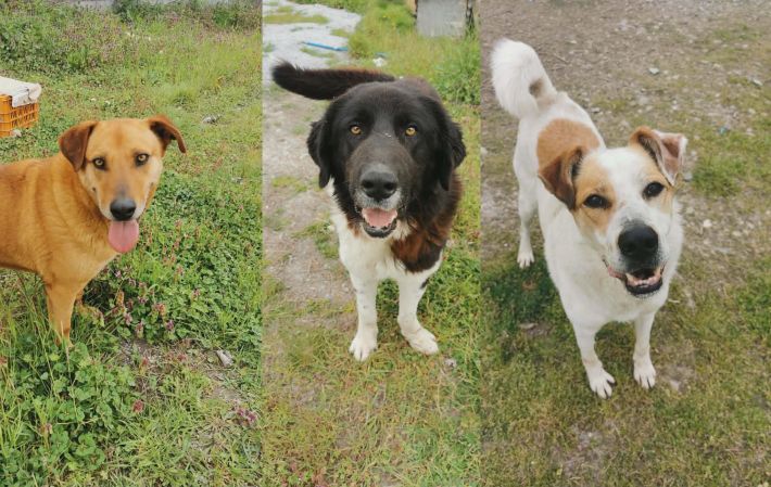 6cd344b2-7ff0-4c91-9afc-ef94ef6c08ce