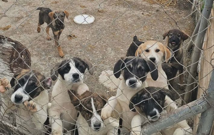 dc48d51b-90b6-49ae-959d-c6c2a734b46c