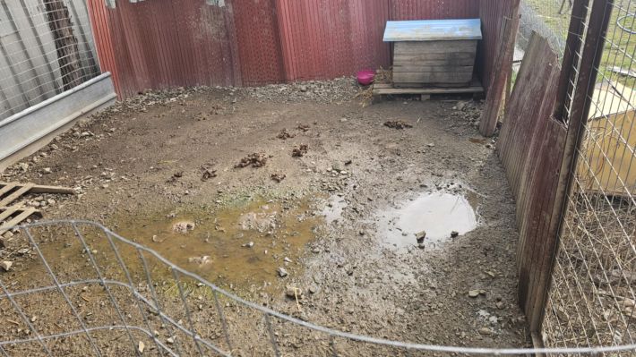 1167554b-8059-48f3-810a-deea2cf65004