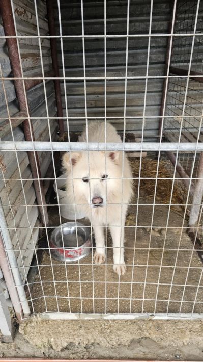 29d01647-fb40-4675-9177-5ff563bee329