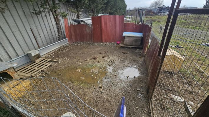 46f40800-109e-41d6-a943-d3892c6add44