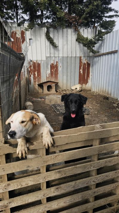 50ec8502-0c71-40a0-a7c2-516e75ffeb5f