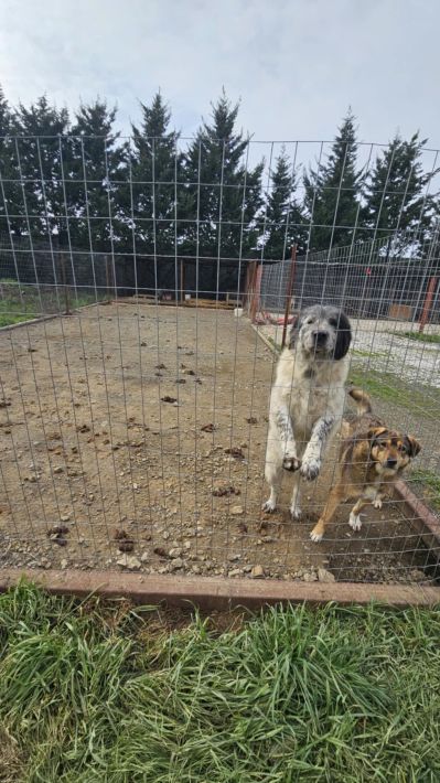 60c9497c-7966-482e-9192-729622c0fd04