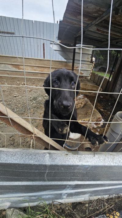 88b81851-227e-4eec-9891-48466146828e