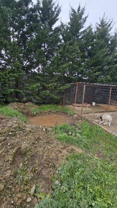 e7c8445a-0e01-4173-9099-e49294eb6083