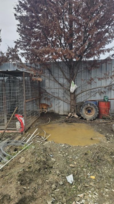 ed034f26-f0a7-4ca8-aa1d-532b147ba15f