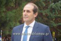 alexandriamou_katathesi16.100088