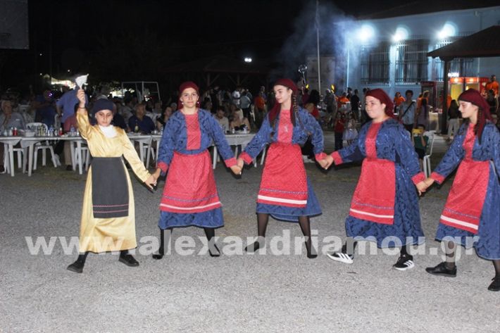 www.alexandriamou.gr_kavasileia2025IMG_2451