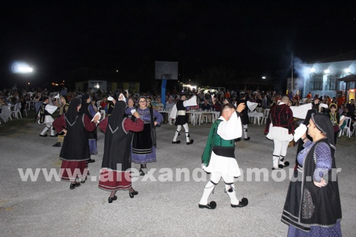 www.alexandriamou.gr_kavasileia2025IMG_2485