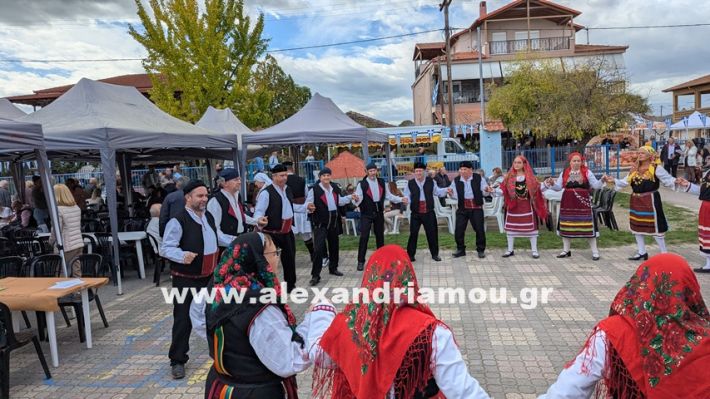www.alexandriamou.gr_kefaloxori_agiosdimitrios26.10,25PXL_20251026_102314453 www.alexandriamou.gr_kefaloxori_agiosdimitrios26.10,25PXL_20251026_102314453