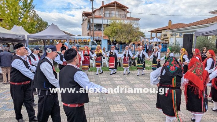 www.alexandriamou.gr_kefaloxori_agiosdimitrios26.10,25PXL_20251026_102320299 www.alexandriamou.gr_kefaloxori_agiosdimitrios26.10,25PXL_20251026_102320299