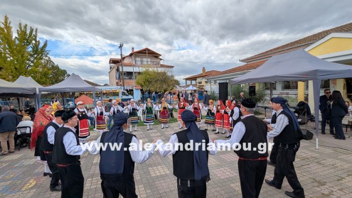 www.alexandriamou.gr_kefaloxori_agiosdimitrios26.10,25PXL_20251026_102330193 www.alexandriamou.gr_kefaloxori_agiosdimitrios26.10,25PXL_20251026_102330193