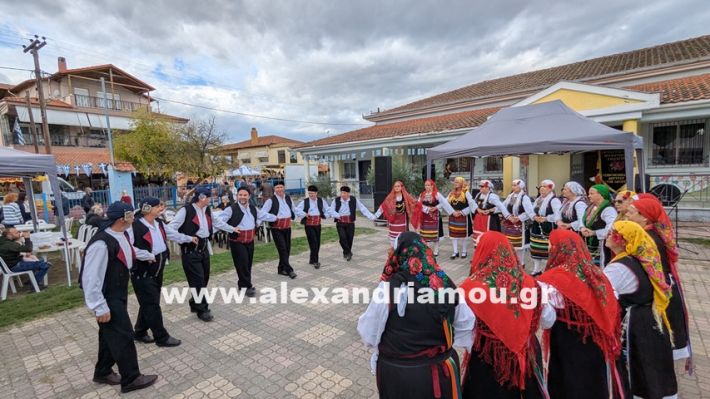 www.alexandriamou.gr_kefaloxori_agiosdimitrios26.10,25PXL_20251026_102525224 www.alexandriamou.gr_kefaloxori_agiosdimitrios26.10,25PXL_20251026_102525224