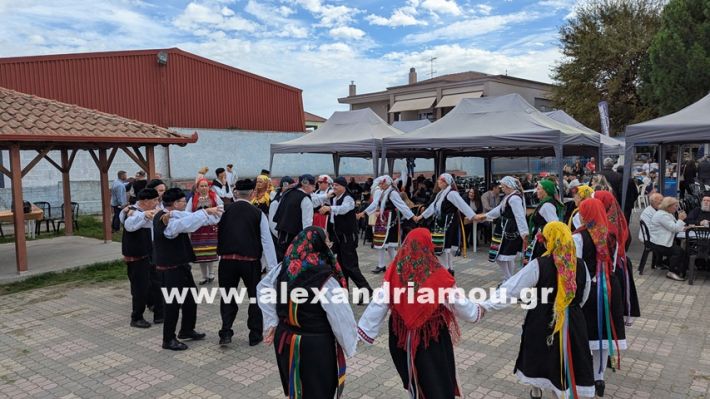 www.alexandriamou.gr_kefaloxori_agiosdimitrios26.10,25PXL_20251026_102642355.MP www.alexandriamou.gr_kefaloxori_agiosdimitrios26.10,25PXL_20251026_102642355.MP