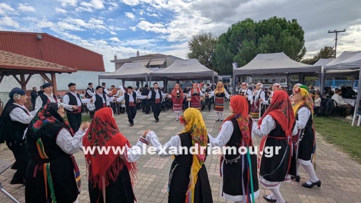 www.alexandriamou.gr_kefaloxori_agiosdimitrios26.10,25PXL_20251026_102822726 www.alexandriamou.gr_kefaloxori_agiosdimitrios26.10,25PXL_20251026_102822726