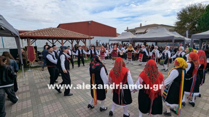 www.alexandriamou.gr_kefaloxori_agiosdimitrios26.10,25PXL_20251026_110257947 www.alexandriamou.gr_kefaloxori_agiosdimitrios26.10,25PXL_20251026_110257947