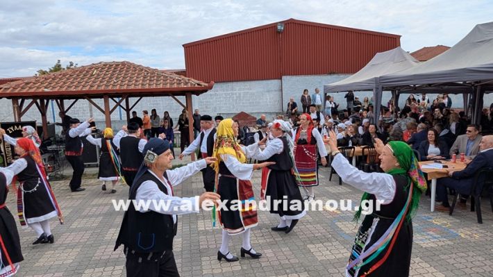 www.alexandriamou.gr_kefaloxori_agiosdimitrios26.10,25PXL_20251026_110416211 www.alexandriamou.gr_kefaloxori_agiosdimitrios26.10,25PXL_20251026_110416211