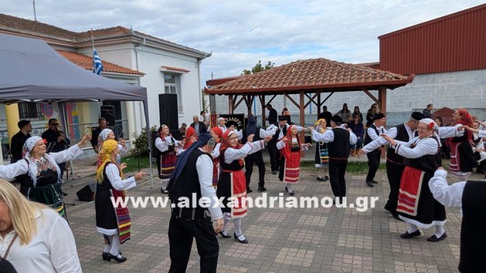 www.alexandriamou.gr_kefaloxori_agiosdimitrios26.10,25PXL_20251026_110418548 www.alexandriamou.gr_kefaloxori_agiosdimitrios26.10,25PXL_20251026_110418548
