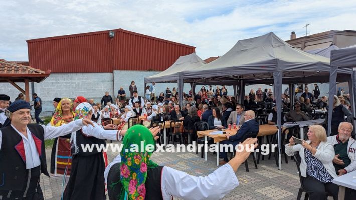 www.alexandriamou.gr_kefaloxori_agiosdimitrios26.10,25PXL_20251026_110425743 www.alexandriamou.gr_kefaloxori_agiosdimitrios26.10,25PXL_20251026_110425743