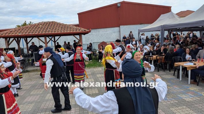 www.alexandriamou.gr_kefaloxori_agiosdimitrios26.10,25PXL_20251026_110430820 www.alexandriamou.gr_kefaloxori_agiosdimitrios26.10,25PXL_20251026_110430820